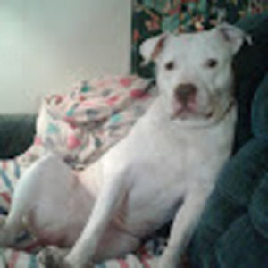 Meet your Posher, Bobbi